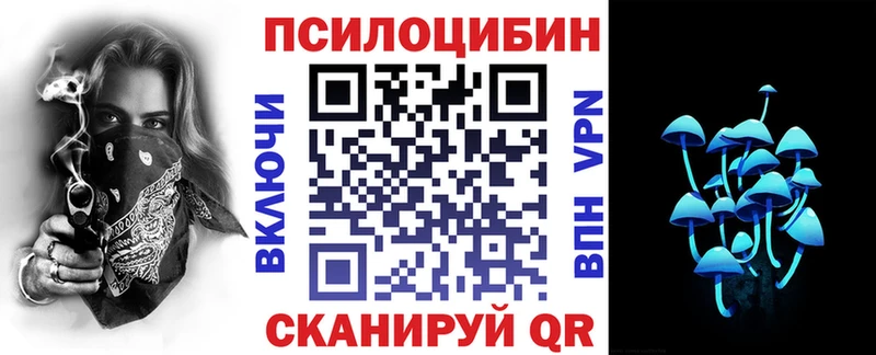 Галлюциногенные грибы Cubensis  Купить закладки  Кудымкар 
